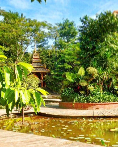 Parks of paradisal Xishuangbanna @park_traveller @explore_xishuangbanna @go_yunnan @amazing_yunnan #