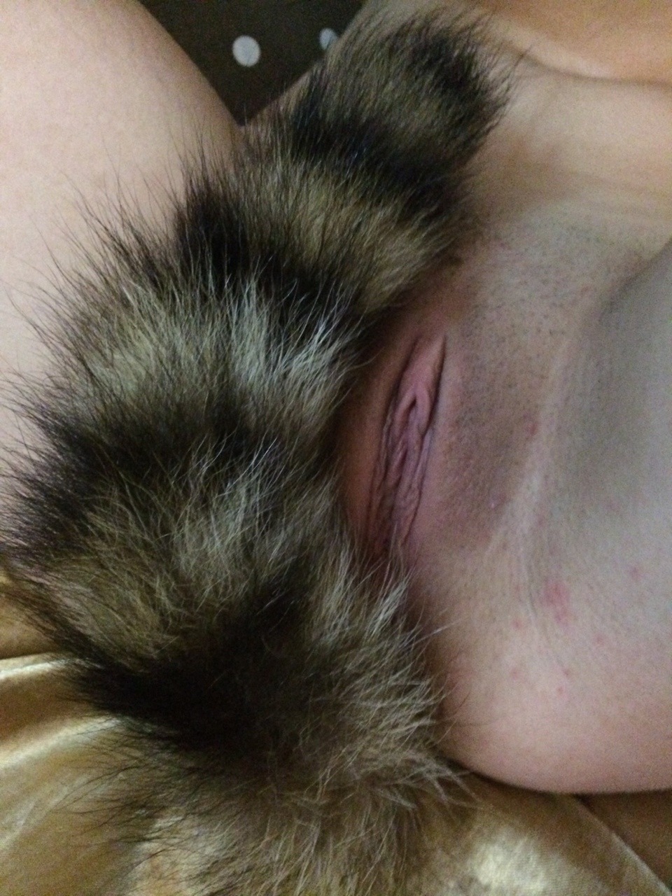 naughty-naughtykitten:  Sorry for the stubble, but I GOT MY TAIL TODAY!!!! I had