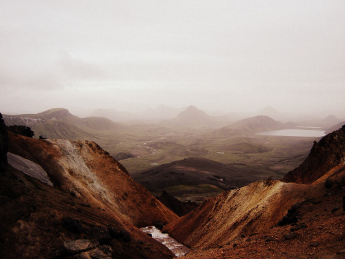  Hlaus  Iceland, 2011 