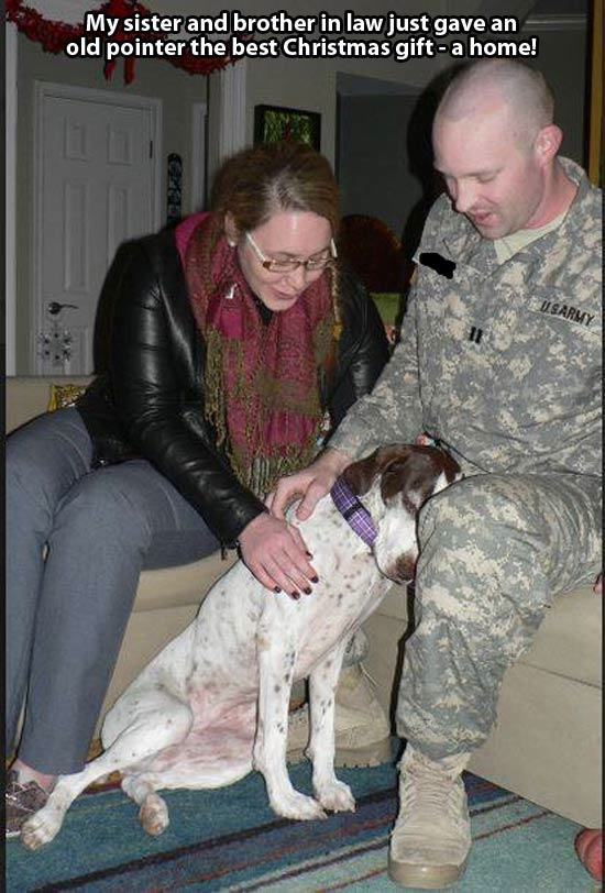 pleatedjeans:  20 Animals That Absolutely Love Their Christmas Presents