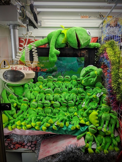 enoughtohold:enoughtohold:kermits in kermit jail wishing for deathi’m sorry i don’t know why this is