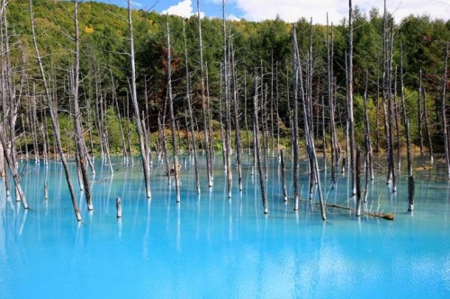 Porn photo our-strange-yet-beautiful-planet:  The Blue