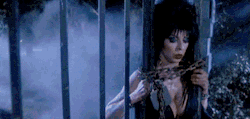 Hello Darlings, Halloween With Our Wonderful Mistress Of The Dark Elvira.