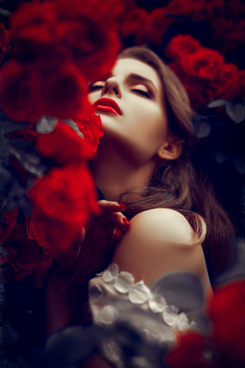 dolcemania:by Ruslan Bolgov