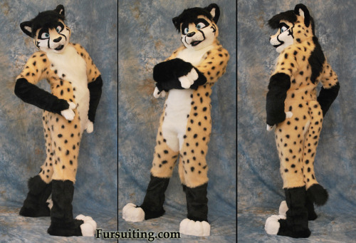 Suit commission we just finished up for Tristan Cheetah. :) &ndash; Lacy &amp; Nick www