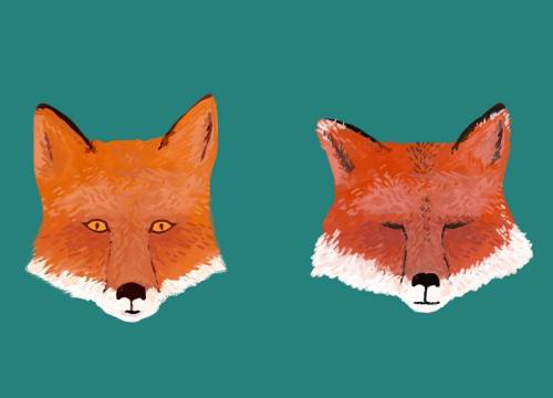 Foxes II. #wip #workinprogress #redfox #redbubblecreate #redbubble #wildanimals #animalart #animaldr