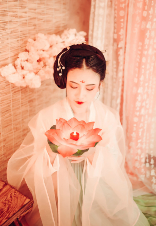 Traditional Chinese hanfu 齐胸襦裙+大袖衫