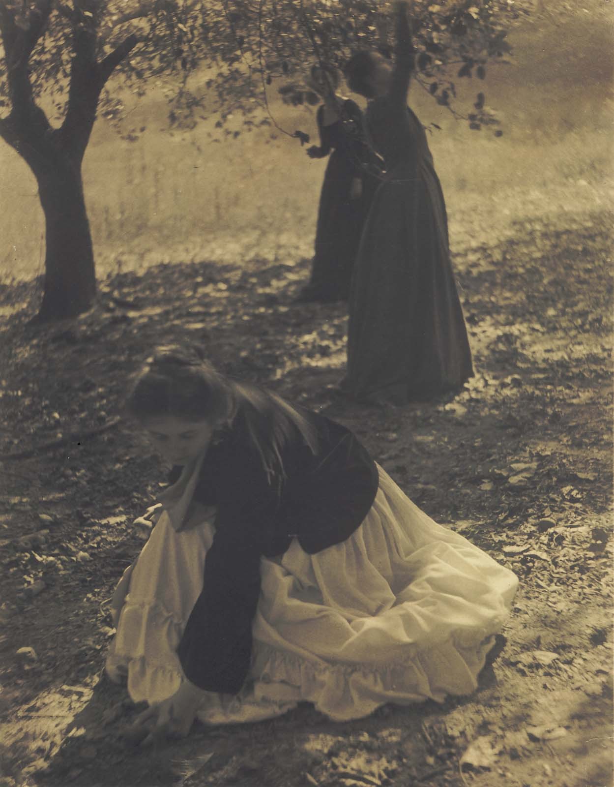 heaveninawildflower:
“ ‘The Orchard’ (1902). Palladium print by Clarence H. White (1871–1925).
Image and text courtesy MFA Boston.
”
