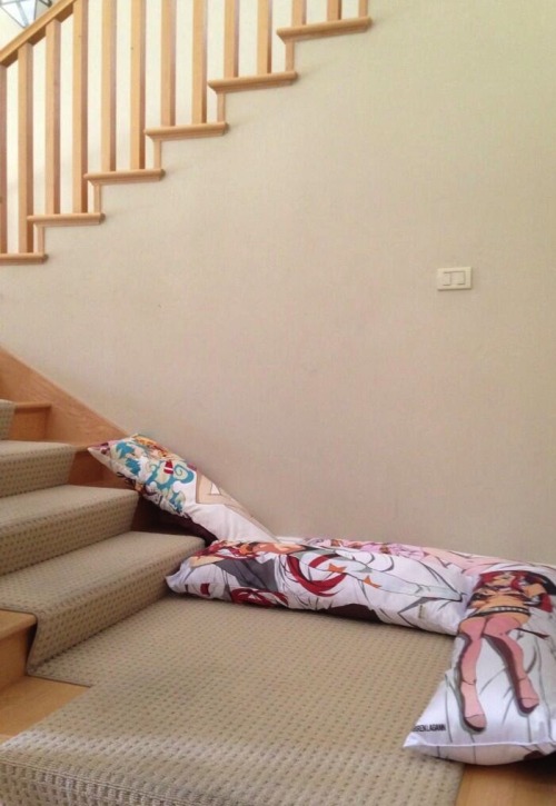 death-by-lulz:  brodave: my dad asked me if he could use my “sex pillows” to cushion the stairs in case the new kitten falls through  