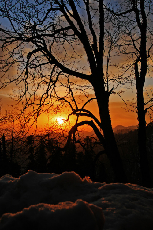 breathtakingdestinations:  Nathia Gali - Pakistan (von NotMicroButSoft (Fallen in Love with Ghizar, GB))