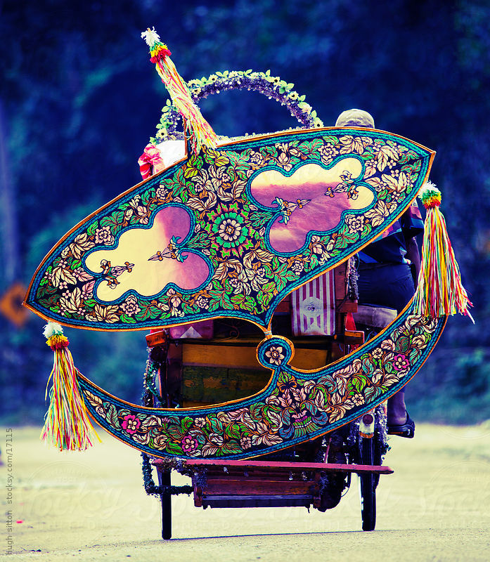 yamino: I am looking up Malaysian kites for “Nautilus” reference, but they are