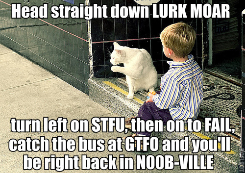seananmcguire: sophiaslittleblog:  tzikeh:  owl-librarian:  sasgalula:  coolcatgroup: