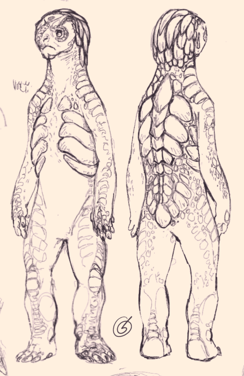 octodruid: I recently fell down the rabbit hole of “redesigning Star Trek’s Cardassians to look more