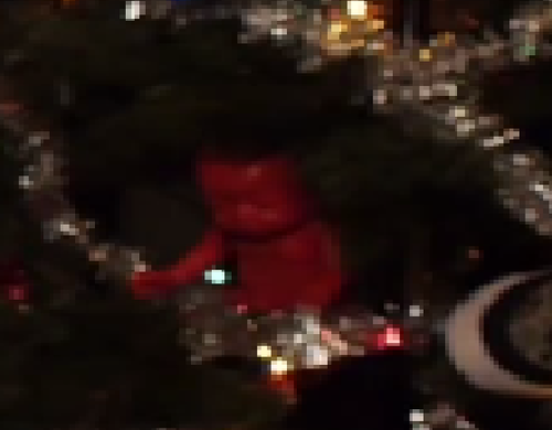 rhettandlink:  deadmcfoxlin:  at first i was like YAY a Christmas tree  but then