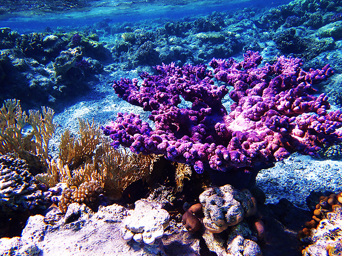 takemetothedungeons:  Satayah, Egypt - October 2013 