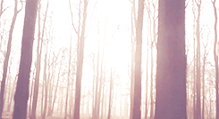 tooyoungtoreign: “Life is very beautiful.” 