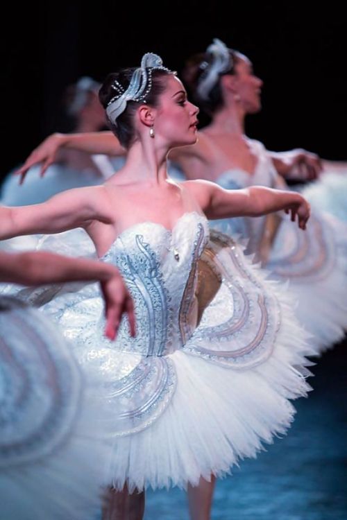1lifeinspired: Swan Lake ~ Australian Ballet