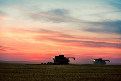 Late Harvest by Todd Klassy on Flickr.