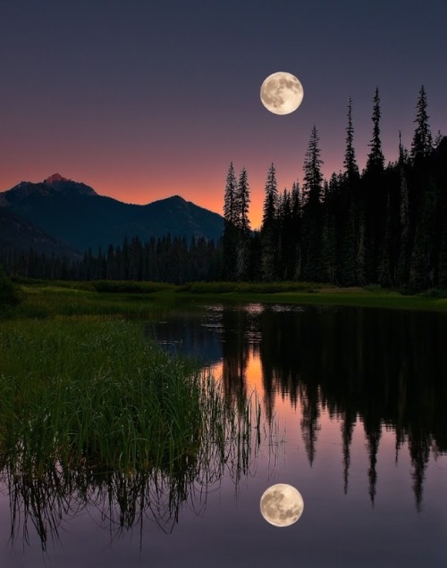 haughtyspirit:  “A lake is a landscape’s most beautiful and expressive feature. It is Earth’s eye; looking into which the beholder measures the depth of his own nature.”  - Henry David Thoreau