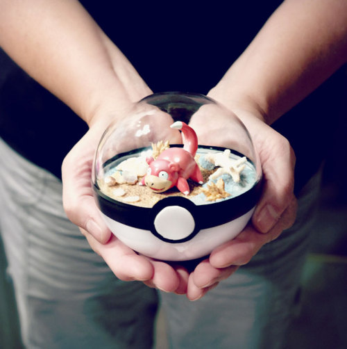 culturenlifestyle: Ingenious Pokéball Terrariums  Texas based artist Lauren from The Vintage Realm takes pride in being a 90s kid. Inspired by vintage Pokémon, which was one of her childhood passions, she created a collection of Poke terrarium. Plucking