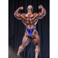 Best Bodybuilding Pics