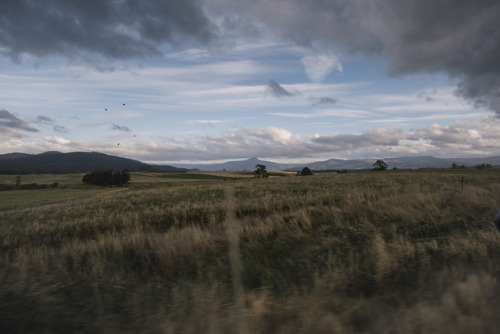 stephaniedolen:driving through Tasmanian farmland outside Launceston 