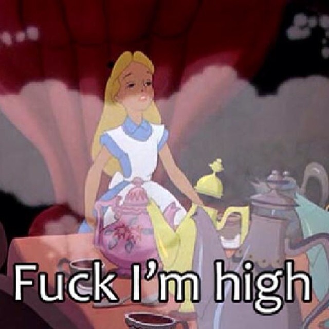 Let&rsquo;s get high.  #420 #letsgethigh #youandi #aliceinwonderland #alice #weed