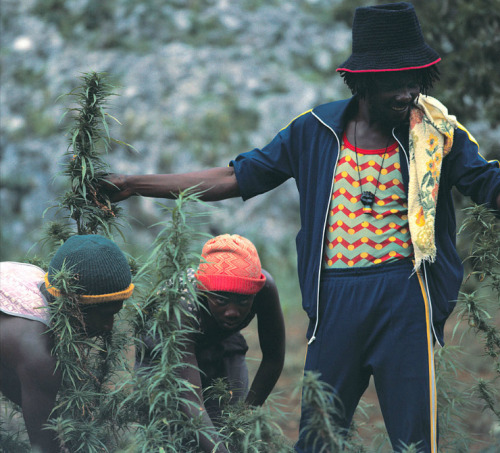 twixnmix:  Peter Tosh photographed by Lee Jaffe in   St. Ann Parish, Jamaica for