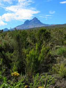 breathtakingdestinations:  Mount Kilimanjaro - Tanzania (by Kyle Taylor)