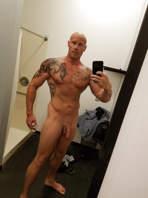 alphastraightmale:   