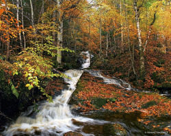 isawatree:  Autumn scenery near Invermoriston,