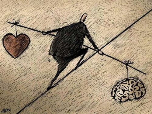 life-is-survival-of-the-fittest:  Sometimes its hard to choose which you should listen too.. 
