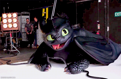 hiccups:Toothless, no! No! Put it down! Put it down!