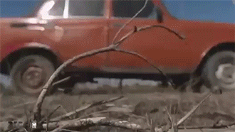 tumblr_o5yx8vPiq91qikcuzo1_400.gif