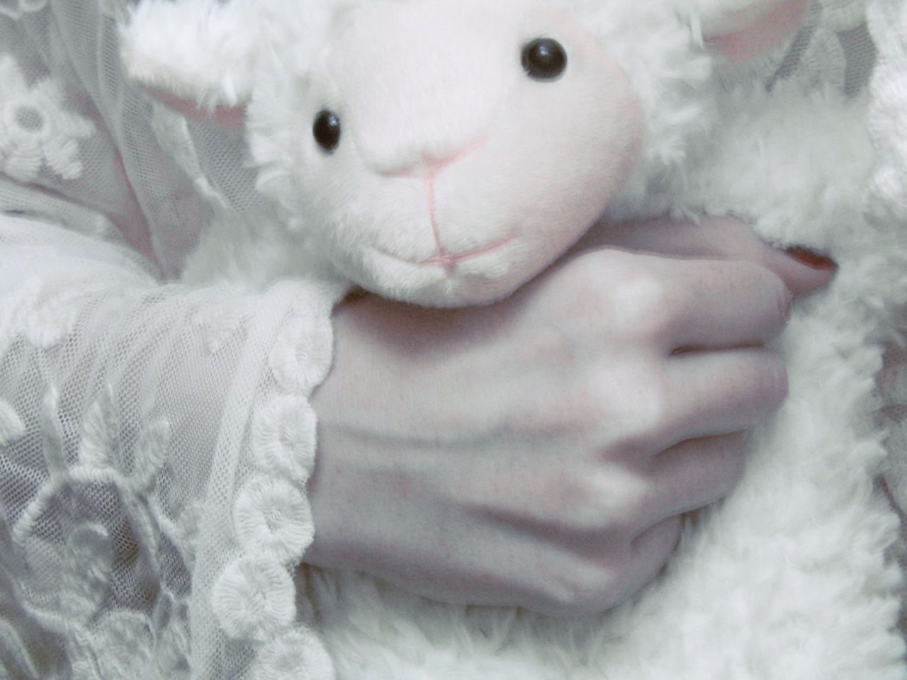 funeralfaerie:  this is my friend, she is stuffed with lavender and calming herbs 