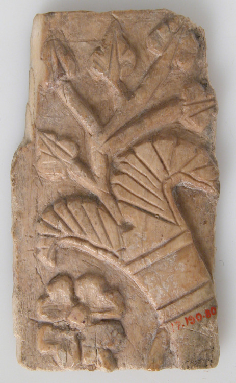 Relief Fragment with Rosette and Lotus Design via Medieval ArtMedium: IvoryGift of J. Pierpont Morga