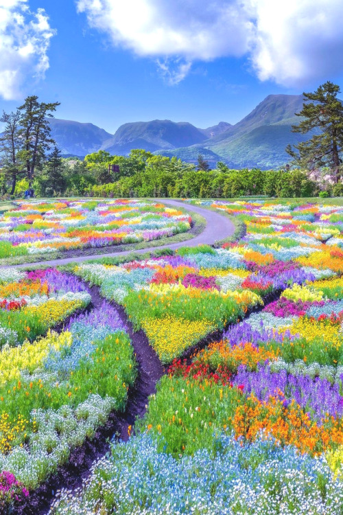 lsleofskye:Kuju Flower Park | astrailor_jp