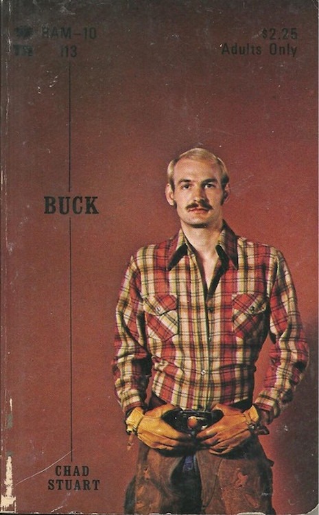 vintagedudesthings: ‘gay pulp’ paperback covers from the 1970s   