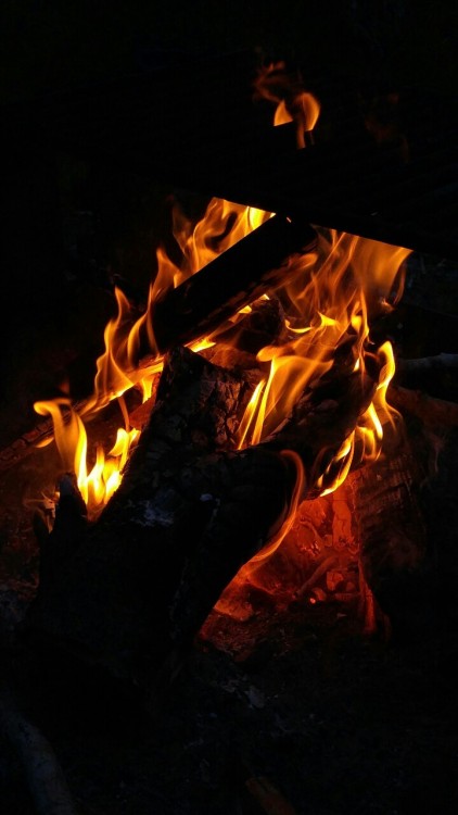 sunlitbeachtrash:  I’ll set you on fire