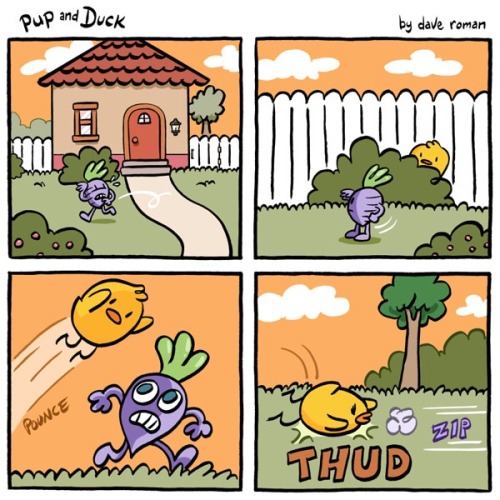 pupandduck