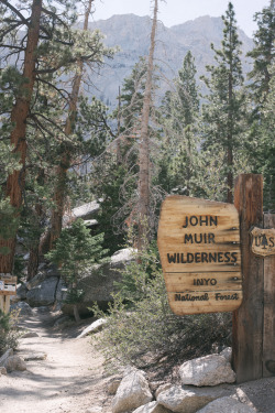 saltnsoil:John Muir Wilderness II