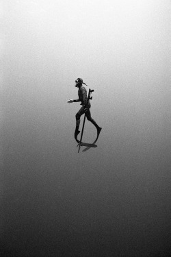 fabforgottennobility:   Free Dive by Kanoa