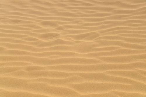 officialunitedstates:“Look out at this sand.  If you shield your eyes from the horizon, your s