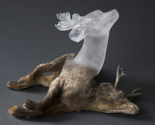 skeleton-richard:eiruvsq:Artist & Sculptor:Christina Bothwell“Season”Cast Glass and Ceramic9&quo