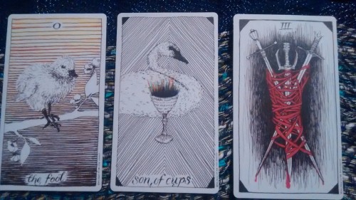 gabriel-knightofcups: I don’t know about everyone else, but there are cards I look at first when I g