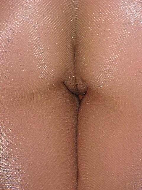 Sheer Rears--seamless pantyhosed asses