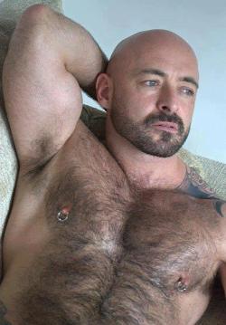 marvinquinn:  fur chested and bearded shaved