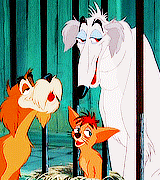lovelydisneys:  “Ah, but remember, my friends. Even Tramp has his Achilles heel.” 