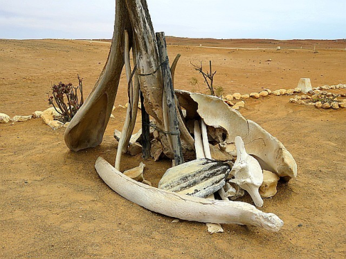 The Skeleton Coast Is The Northern Part Of The Atlantic Coast Of Namibia And South Of Angola From The