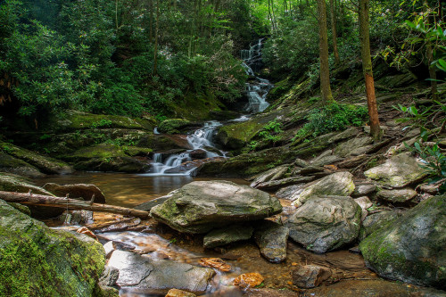 Roaring Fork - Summer by Darrell Duke